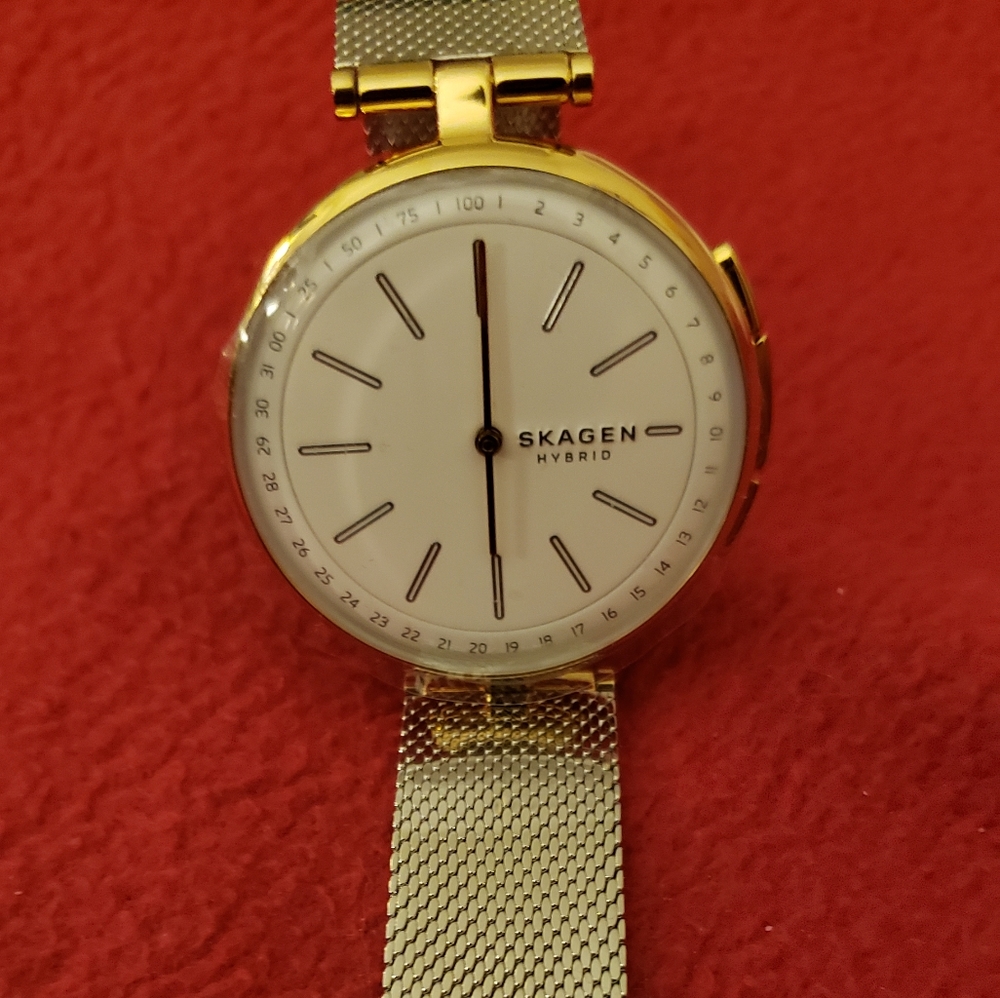 Skagen Dual-Tone Hybrid Smartwatch